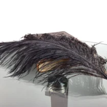 Ostrich Black