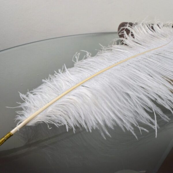 Ostrich White