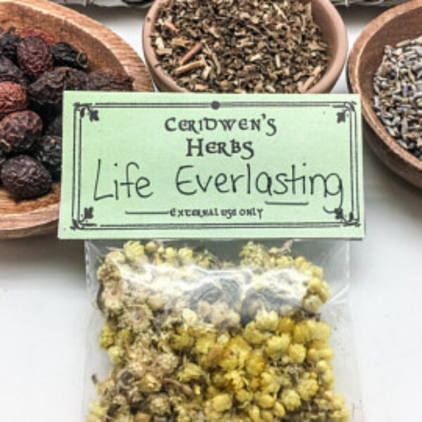 Life Everlasting - Longevity, Health, Healing