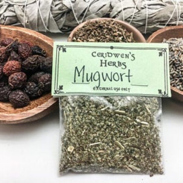 Mugwort - Psychic Power, Protection, Prophetic Dreaming