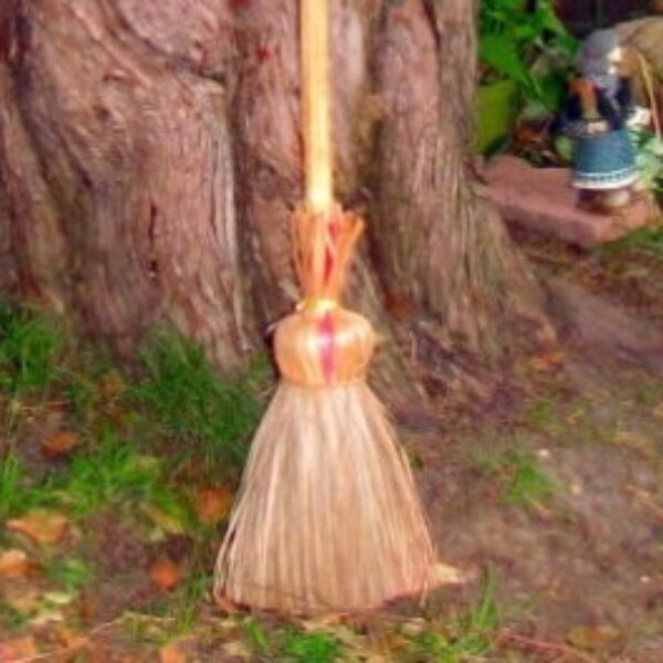 Pueblos Magicos Broom
